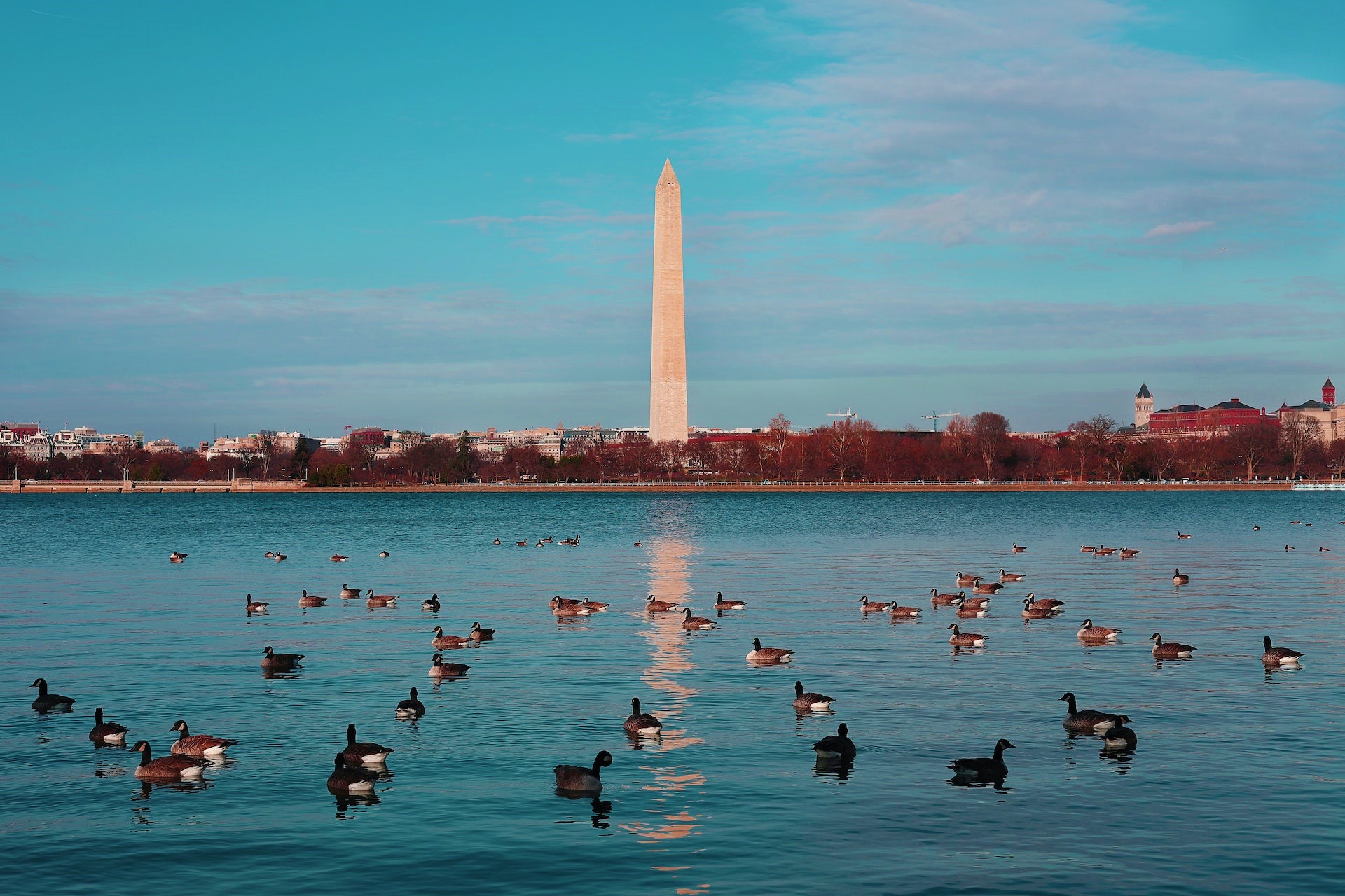 Washington D.C.: The Best Activities for an Unforgettable Vacation